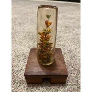 Vintage DaisyGlas Pressed Dried Flower Paperweight  Orange Green Lucite Resin